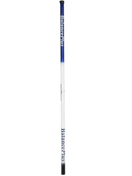 BalancePlus LiteSpeed curling brush Handles in White/Blue